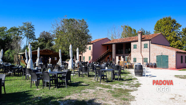 campo dei girasoli_1-3