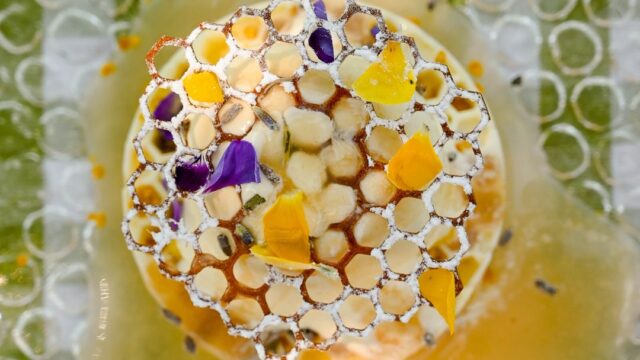 6762db85997a44ed850757d9_DSC_5001 copia-p-1080